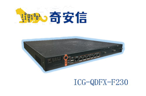 奇安信網康上網行爲管理ICG-QDFX-F230