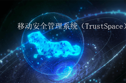 奇安信移動安全管理系統（TrustSpace）