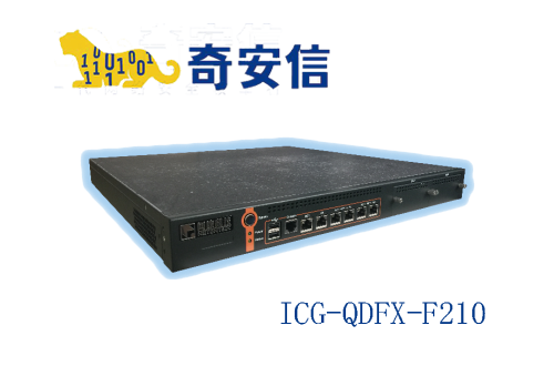 奇安信網康上網行爲管理ICG-QDFX-F210